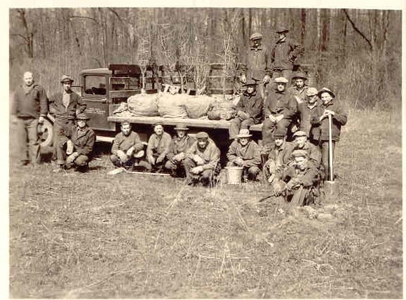 Group of men stand next to truck full of trees to be planted.