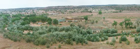 Pueblo Colorado Wash in 1996 before exotic vegetation removal.