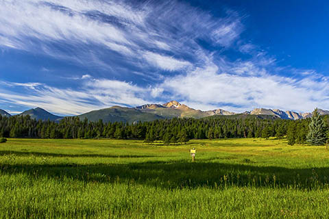 A green mountain meadow is backdropped by rocky peaks
