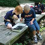 two boys using magnifying lenses to examine a pan of pond water