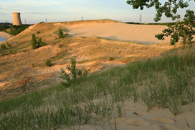 Surface of Mount Baldy as viewed from the summit; a large complex hill with sparse grassy vegetation and a lot of sand
