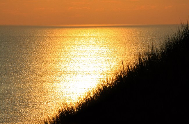 Golden sunshine reflects on Lake Michigan with marram grass shadows in foreground