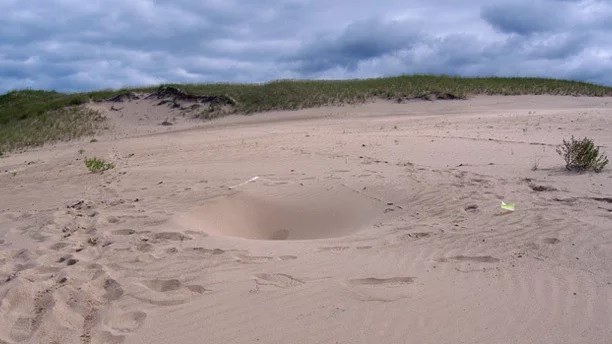 Loose sand area atop a sand dune with a bowl-like depression