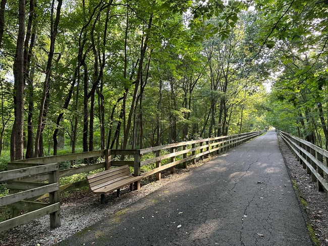 A paved bike trail extends through a woodland with wooden fencing along its borders and a wooden bench in the foreground along the path.