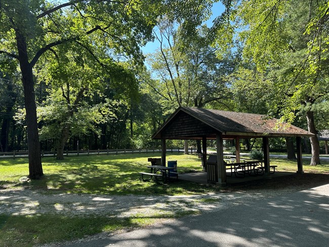 A sheltered picnic area with trees, green grass, picnic tables and grills.