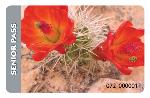 NPS_Senior_Pass