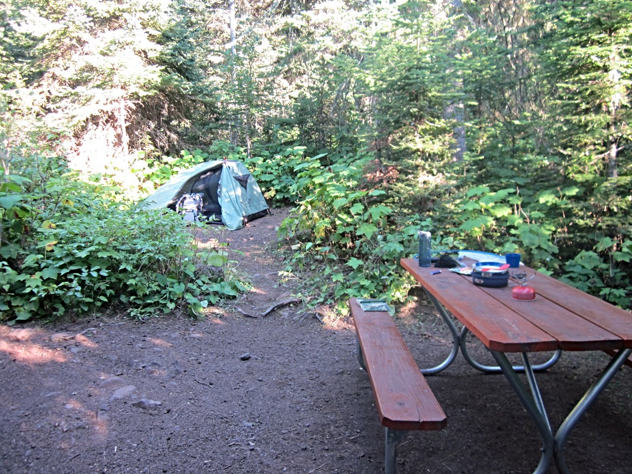 A campsite comprised of a tent, backpack, picnic table, and gear are surrounded by vegetation.