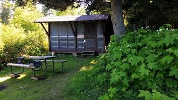 A campsite with shelter, picnic table, and thimbleberries.