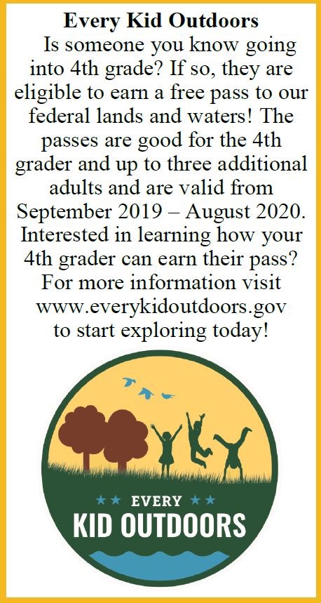 promotion about the 4th grade pass