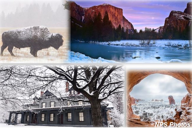 4 pictures in one photo. A bison at Yellownstone, Atches National Park scene, Garfield Home, and Yosemite