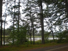 Passmore Creek