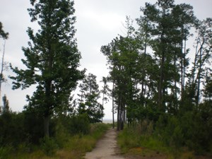 End of the footpath to Black Point, with a view of the James River.