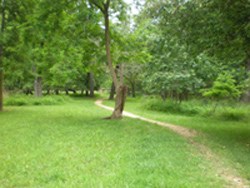 Footpath to Travis Estate cemetery