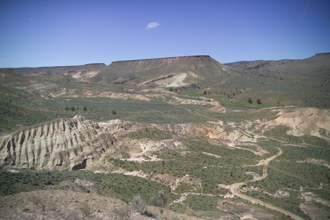 A vegetated slope with outcroppings of tan sediments without vegetation.