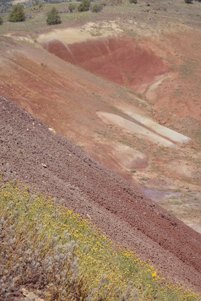 A hill of red soil with some yellow wildflowers growing in the foreground. Red hills are visible in the distance.