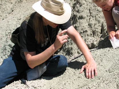 Image of a paleontologist in the field.