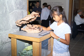 Image of a young visitor giving a donation.