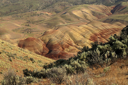 This image provides a view of the Painted Hills from above, with sage brush in the foreground.