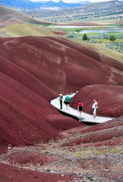 Image of the Painted Cove trail and park visitors.