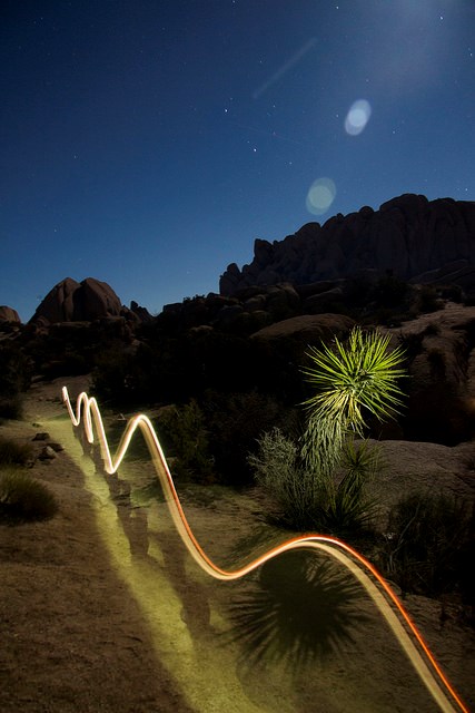 nighttime photo of a moonlit boulder landscape, the spiked blades a single yucca plant are illuminated and a wavy line of glowing light extends down a path into the distance