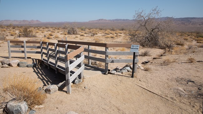 A narrow boardwalk with rails on a sandy desert trail.