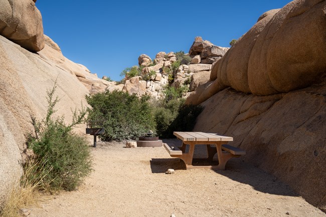 A campsite with a picnic table, lowered grill, and fire ring.