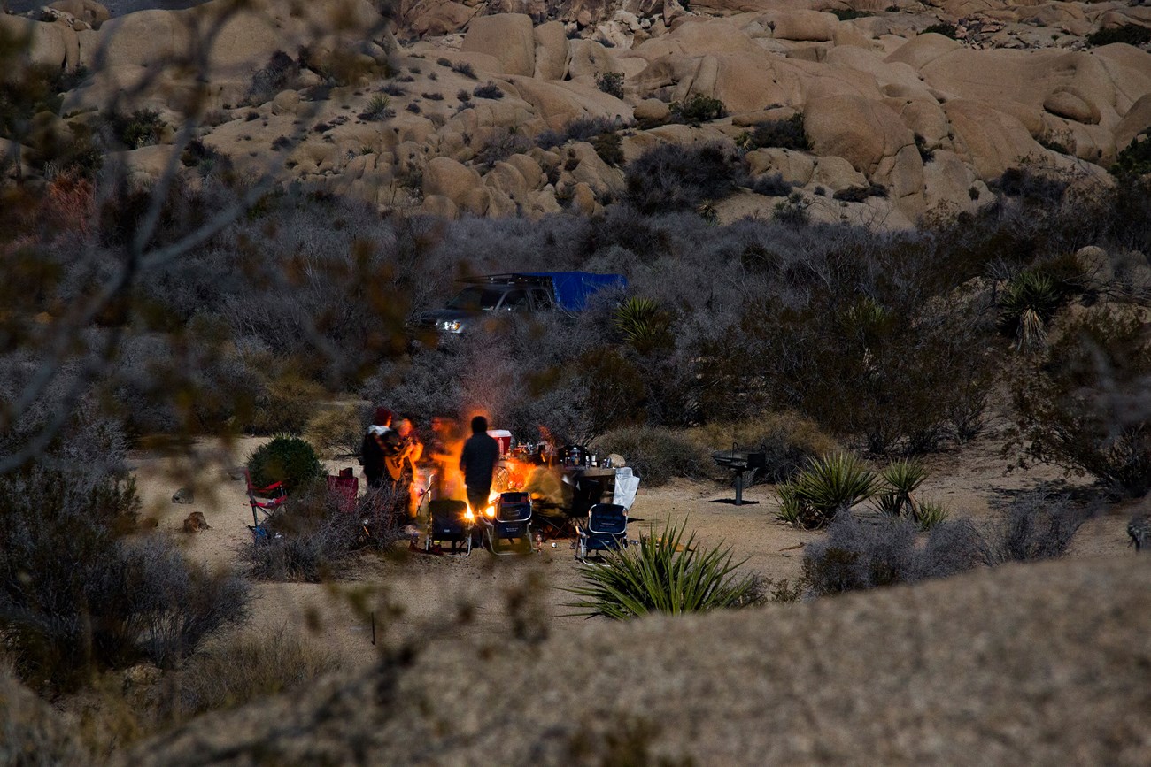 Color photo of people standing around a campfire with a guitar. NPS / Brad Sutton