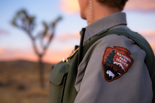 The NPS arrowhead on a park ranger's uniform is in full-focus with a sunset and Joshua tree out-of-focus in the background.