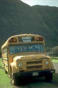 Damien Tour Bus