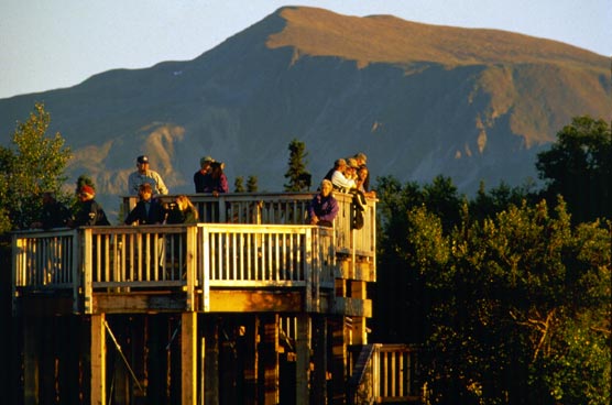 Visitors on Lower River Platform