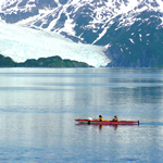 Kayaker in Aialik Bay