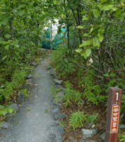 Tent in Exit Glacier Campground