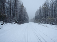 Exit Glacier after an October snow storm