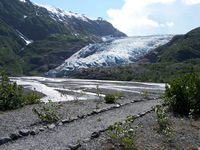View of Glacier from Nature Trail View of Glacier from Nature Trail