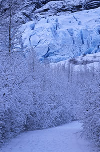 Winter at Exit Glacier Winter at Exit Glacier