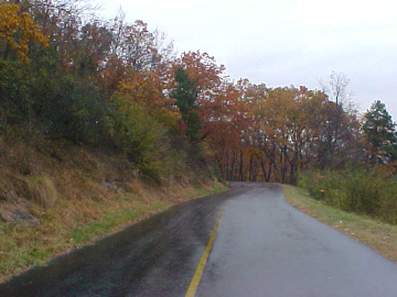 Fall colors along the mountain road.