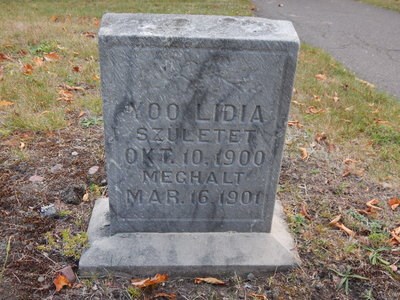 A grave marker in a cemetery.