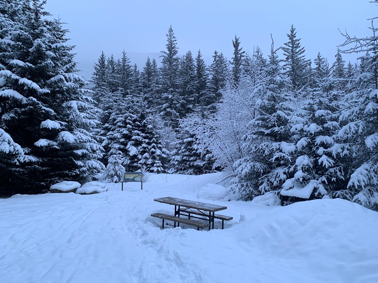 A snowy forest scene with a picnic table covered in snow and an uncovered wayside sign.