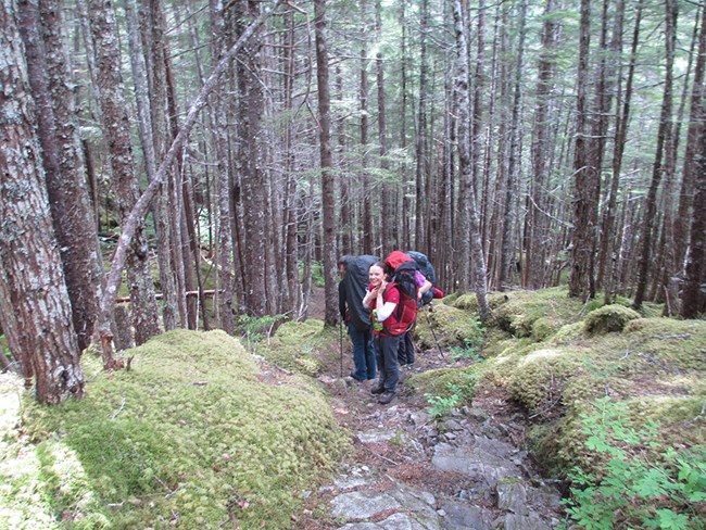 A group of backpackers stand below the camera on a rocky trail in the woods