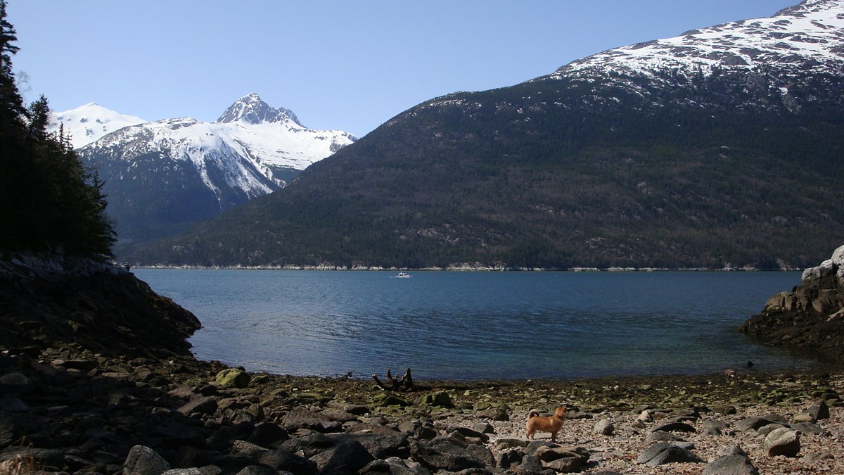 Modern photo looking from the beach to Taiya Inlet