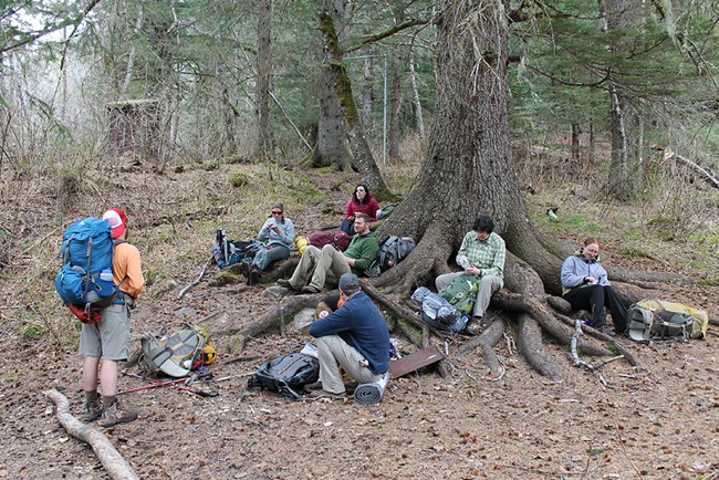 Six people sit on tree routes and talk to a standing backpacker