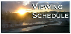 Viewing Schedule