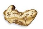 gold nugget