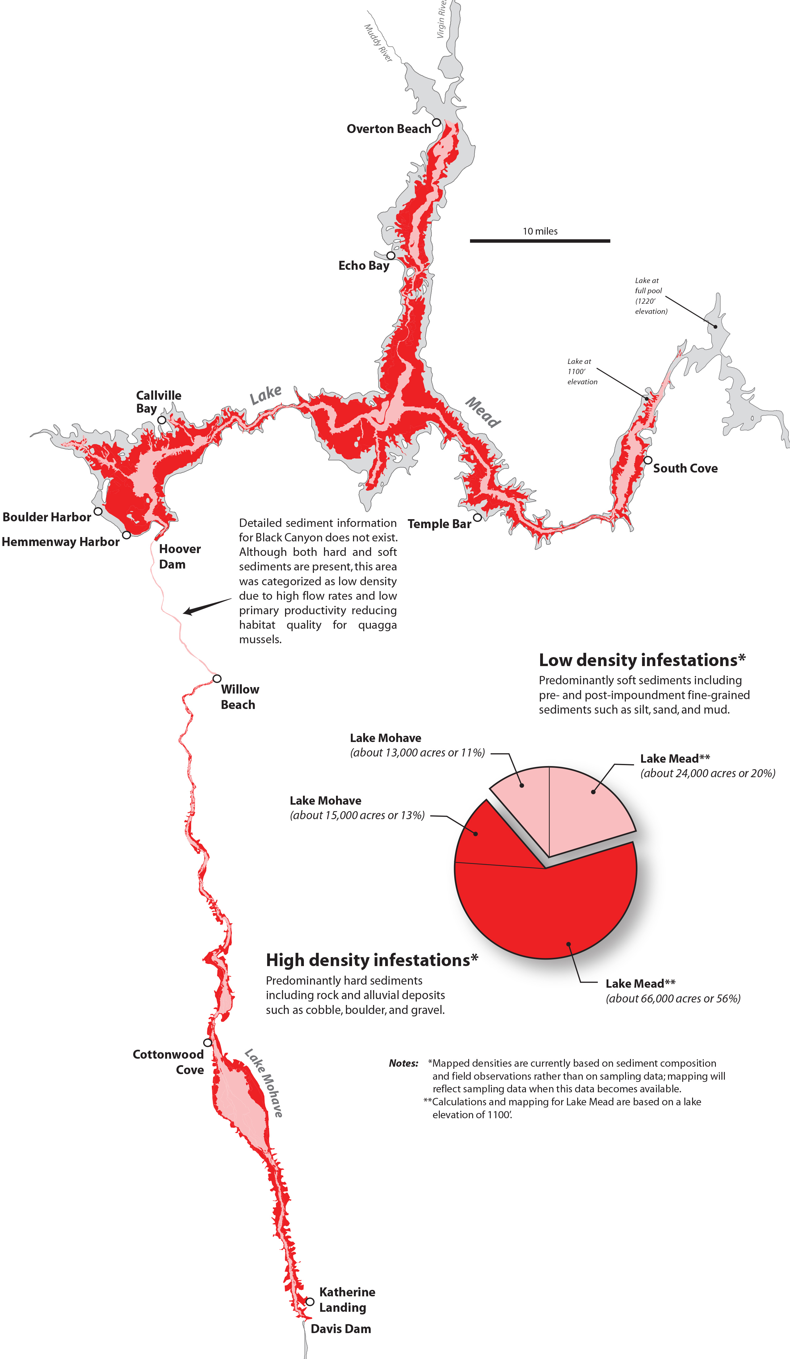 adult-quagga-full-chart