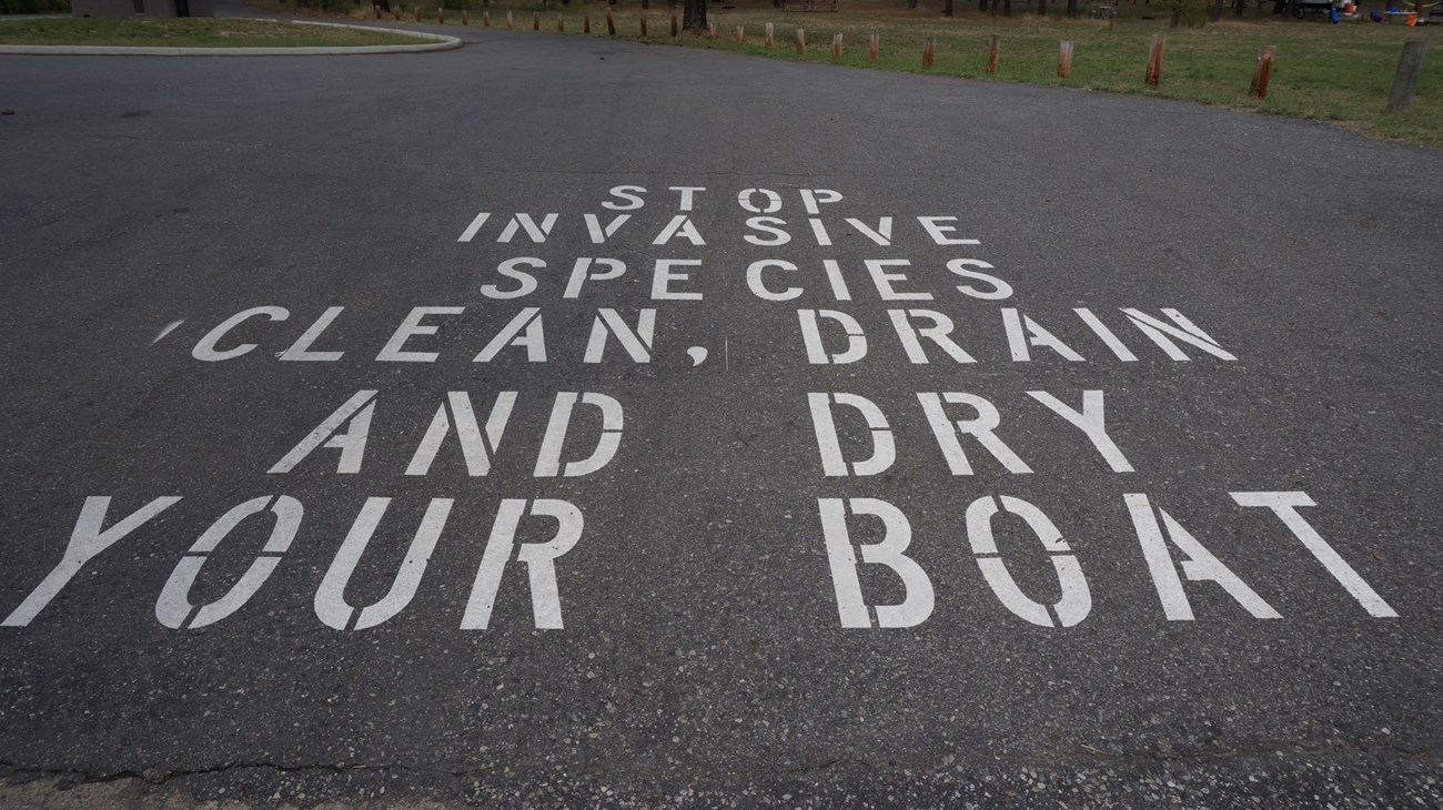 Painted asphalt that reads "Stop Invasive Species, Clean, Drain, and Dry Your Boat"