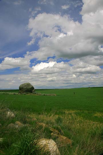 Erratic in a field. Giant bolder in a green field. Blue sky and clouds overhead.