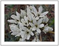 Photo Gallery Thumbnail