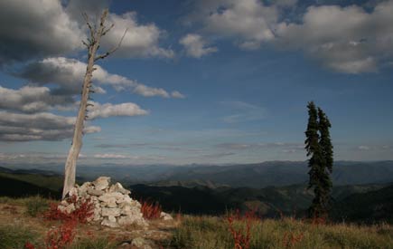 The Bitterroot Mountains, with cairn, leafless tree trunk, slender evergreen, and view of mountains behind.
