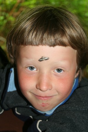 Nature Camper with a moth on his forehead Nature Camper with a moth on his forehead