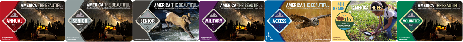 Color image of seven America the Beautiful Interagency Passes horizontally lined up end-to-end across the page.